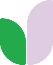 진실의 역사, 평화의 미래